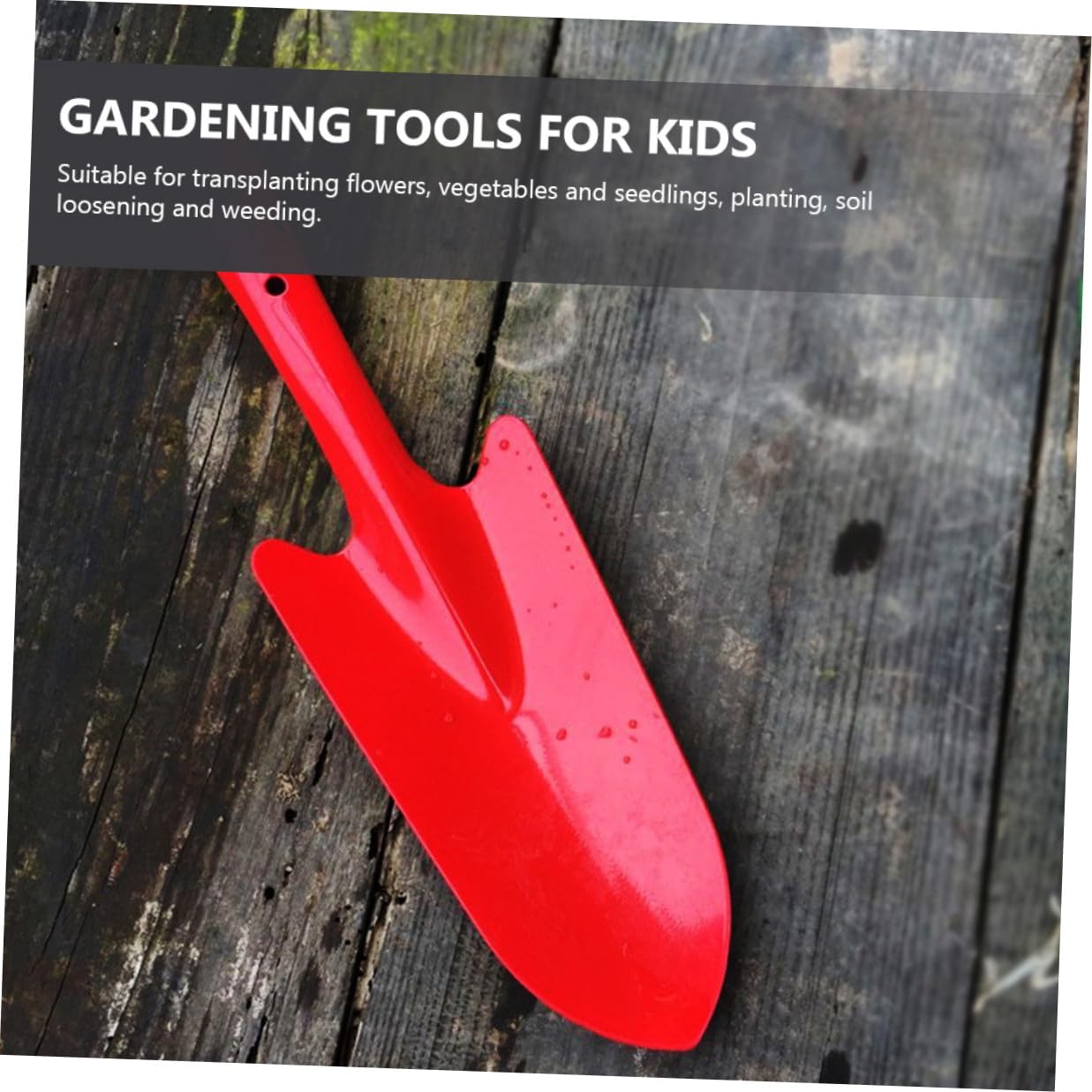 Artibetter 5 Stück Gartenschaufeln aus Eisen Tragbare Minischaufeln zum Pflanzen und Umpflanzen von Blumen und Setzlingen im Garten