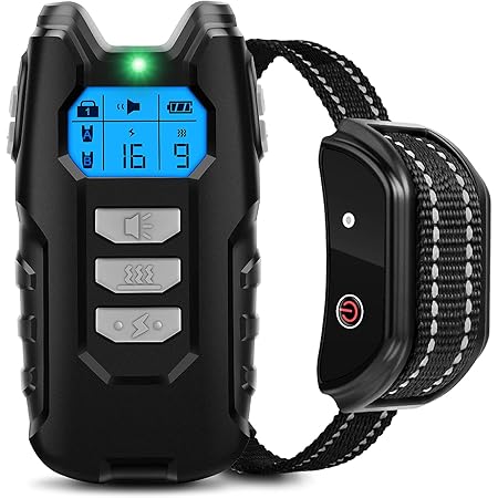 dog shock collar video