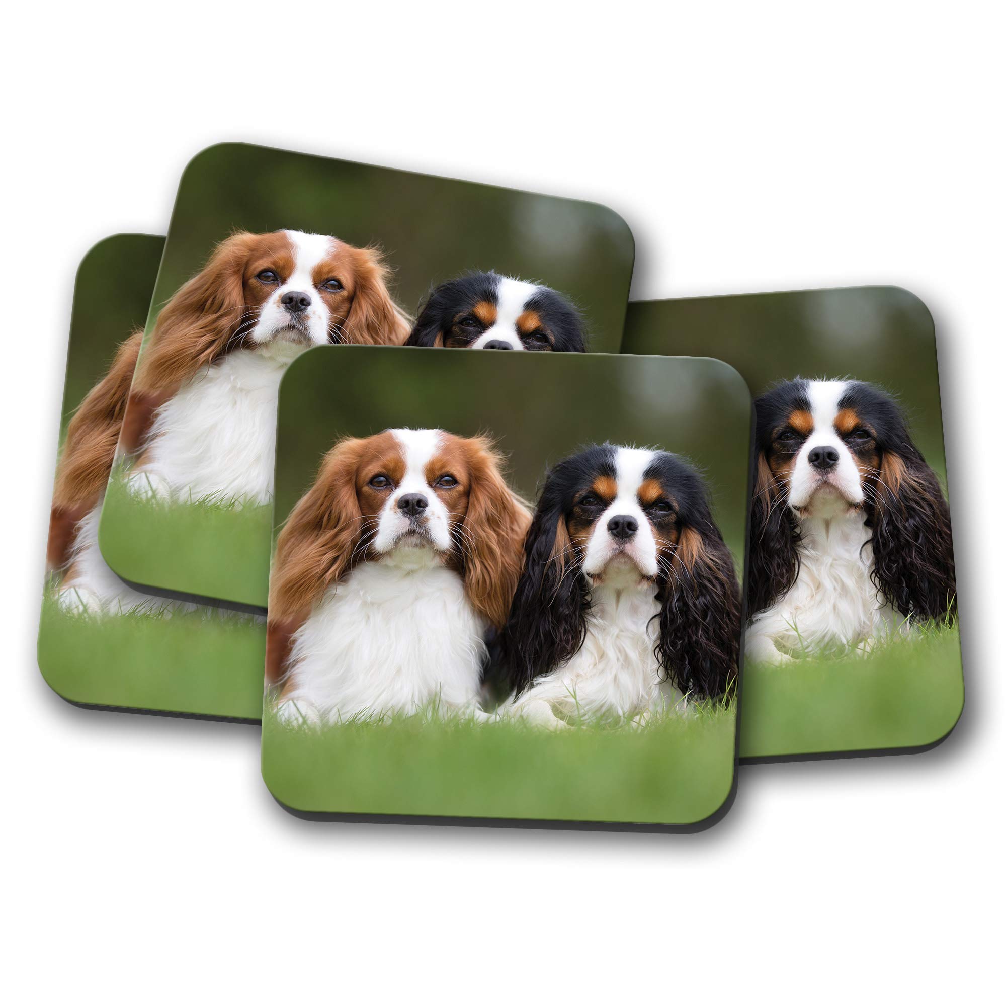 Destination Vinyl Ltd Multicolor 4 Set - Cavalier King Charles Spaniels Coaster - Dog Cute Pretty Pet #15816