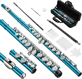 ANVAR - Flauta, instrumento de flauta com furo fechado C 16 teclas, estudante para iniciantes e músicos avançados, vem kit limpeza flauta, bolsa transporte, alça, sonda, luvas (Azul)