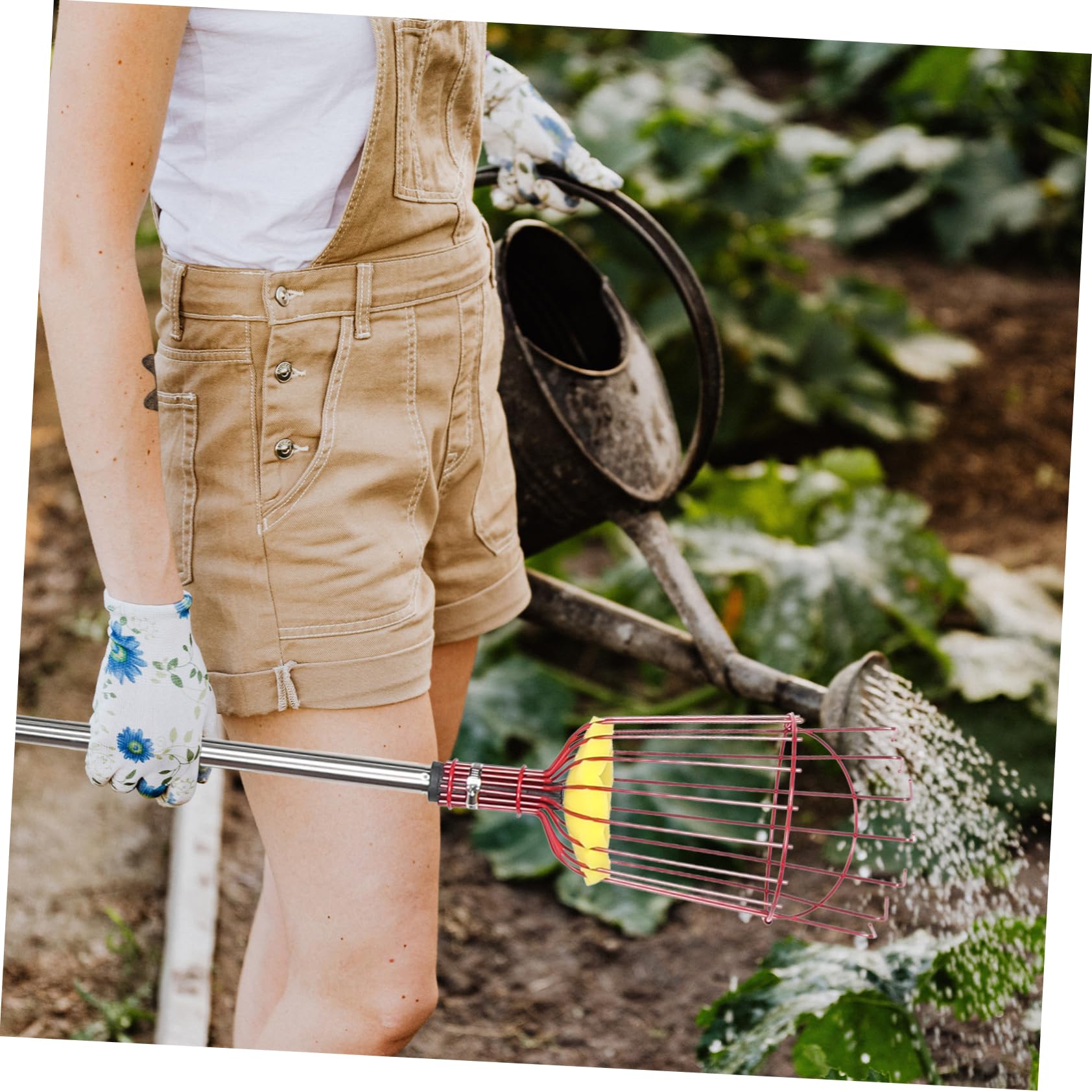 Yardwe Perche à Cueillette de Fruits Légère en Acier Allié avec Panier, Télescopique à Quatre Sections, Portable Récolte de Poires et Oranges Jardin