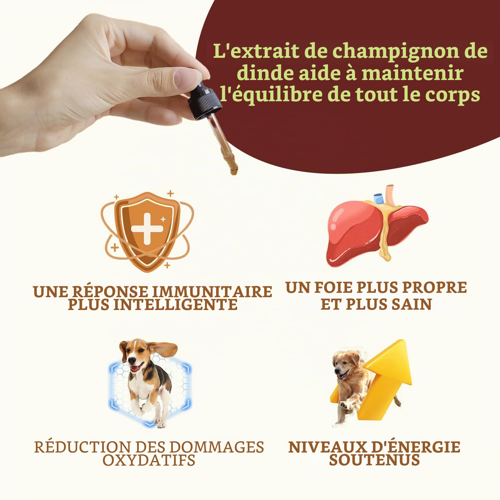 Gouttes de Champignon Queue de Dinde pour Chiens et Chats - Gestion des lipomes, Bosses et verrues, Ganoderme lucide & Chaga | pour Animaux séniors, affaiblis et Post-opératoires
