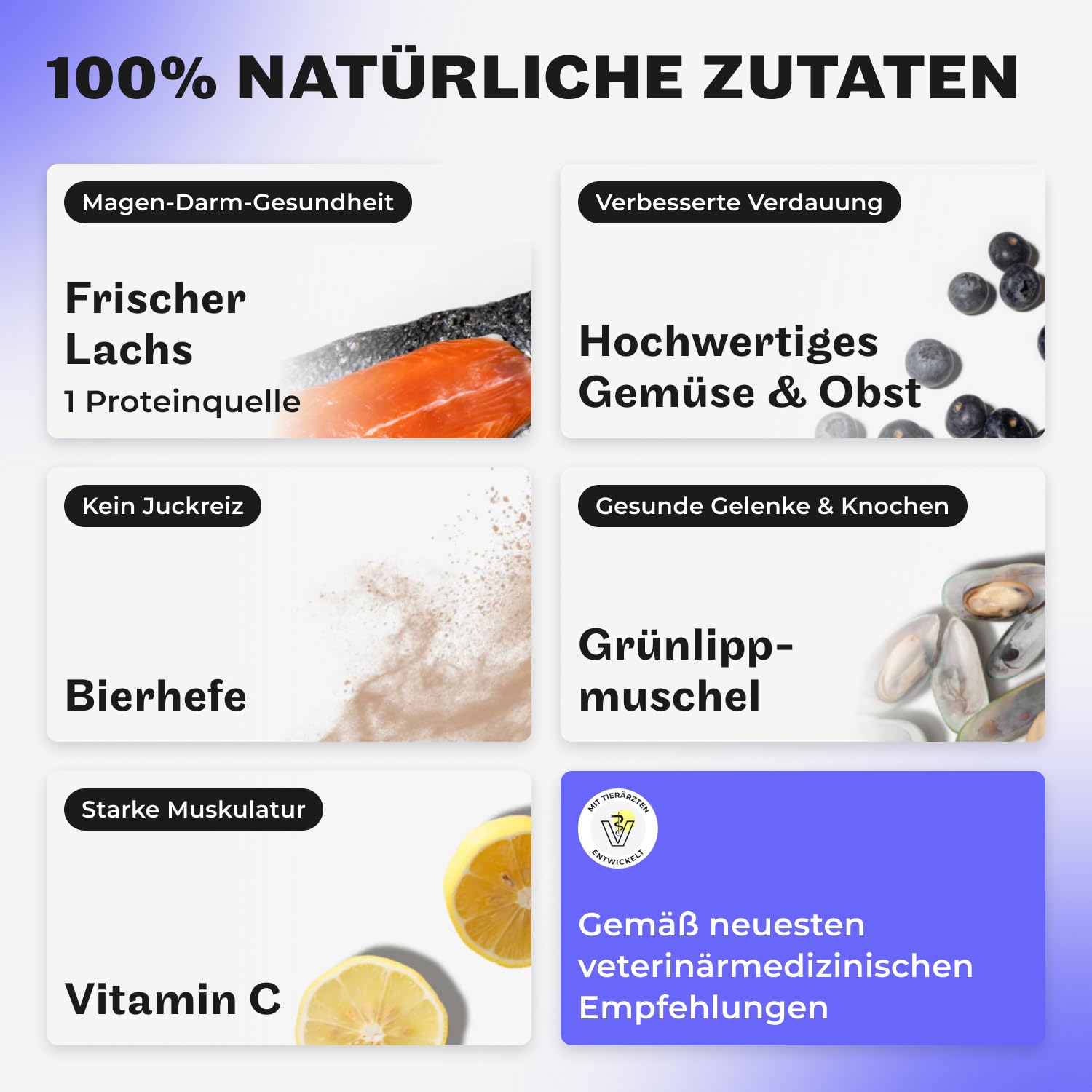 HEY HOLY Premium Trockenfutter für Bulldoggen 100% getreidefrei | 7kg hypoallergenes Hundefutter für ausgewachsene Bulldoggen mit Lachs | Hochverträglich aus natürlichen Zutaten