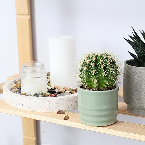 Miniatura 6 de Rocas para Suculentas, Guijarros Pulidos de 38 Pulgadas para Plantas de Interior, Rocas de Río Decorativas para Plantas de Interior, Relleno para