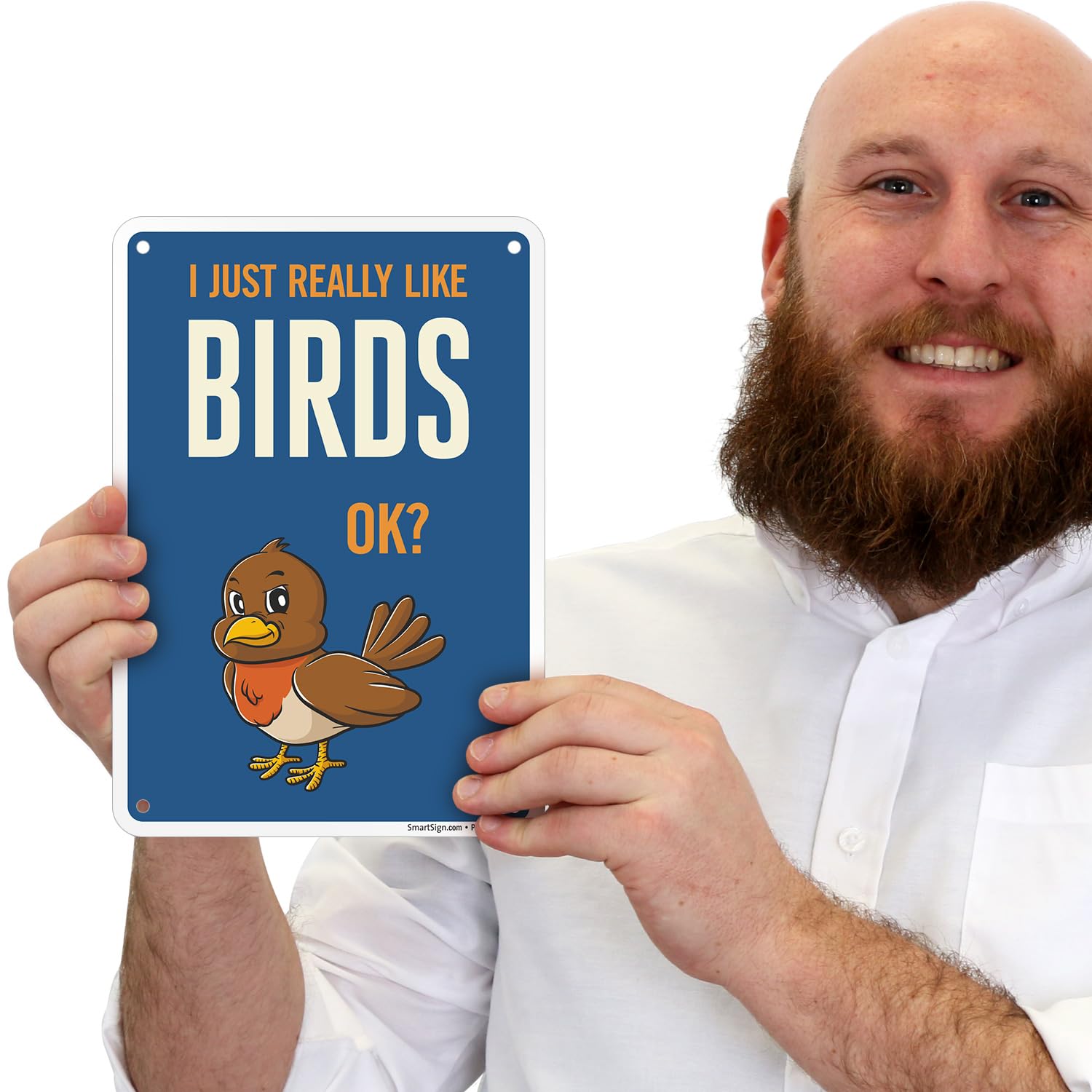 Funny Dog Sign - 'Don't Let The Dog Out No Matter What It Tells You' - 10x7 Rustproof Aluminum For Yard, Home, Or Gift