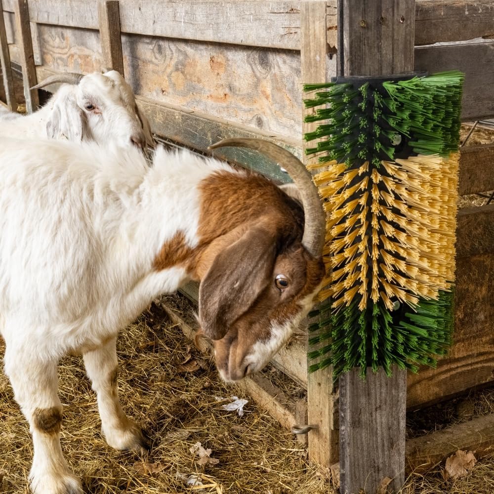 Premier 1 Scratch Brushes for Cattle, Sheep, Goats, Horses & Other Livestock | Durable 2" Stiff Bristles Built to Last | Easily Mounts with Hardware Included (Green/Tan - XL)