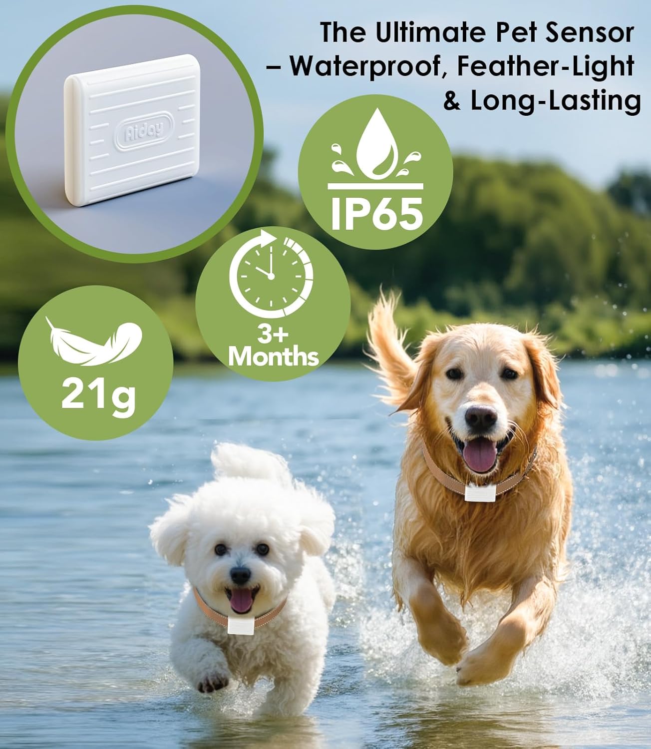 Automatic Dog Door for Wall with Sensor Collars, Large Smart Pet Door for Wall, Custom Scheduling & Anti-Pinch, Fits Large Dogs up to 100 lbs