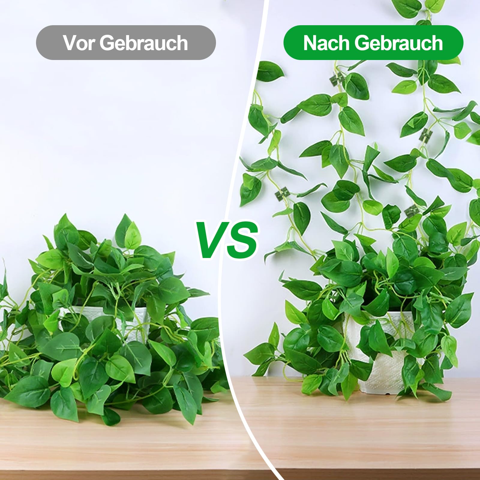 50 Stck Pflanzenklammern Pflanzenclips Wand, Blumenhalter Wand,  Blumenklammern, Efeutute, Wandbefestigung fr Kletterpflanzen,  Pflanzensttzen Clips fr Rebe Weinpflanzen Wand Pflanzenhalte : Amazon.de:  Garten
