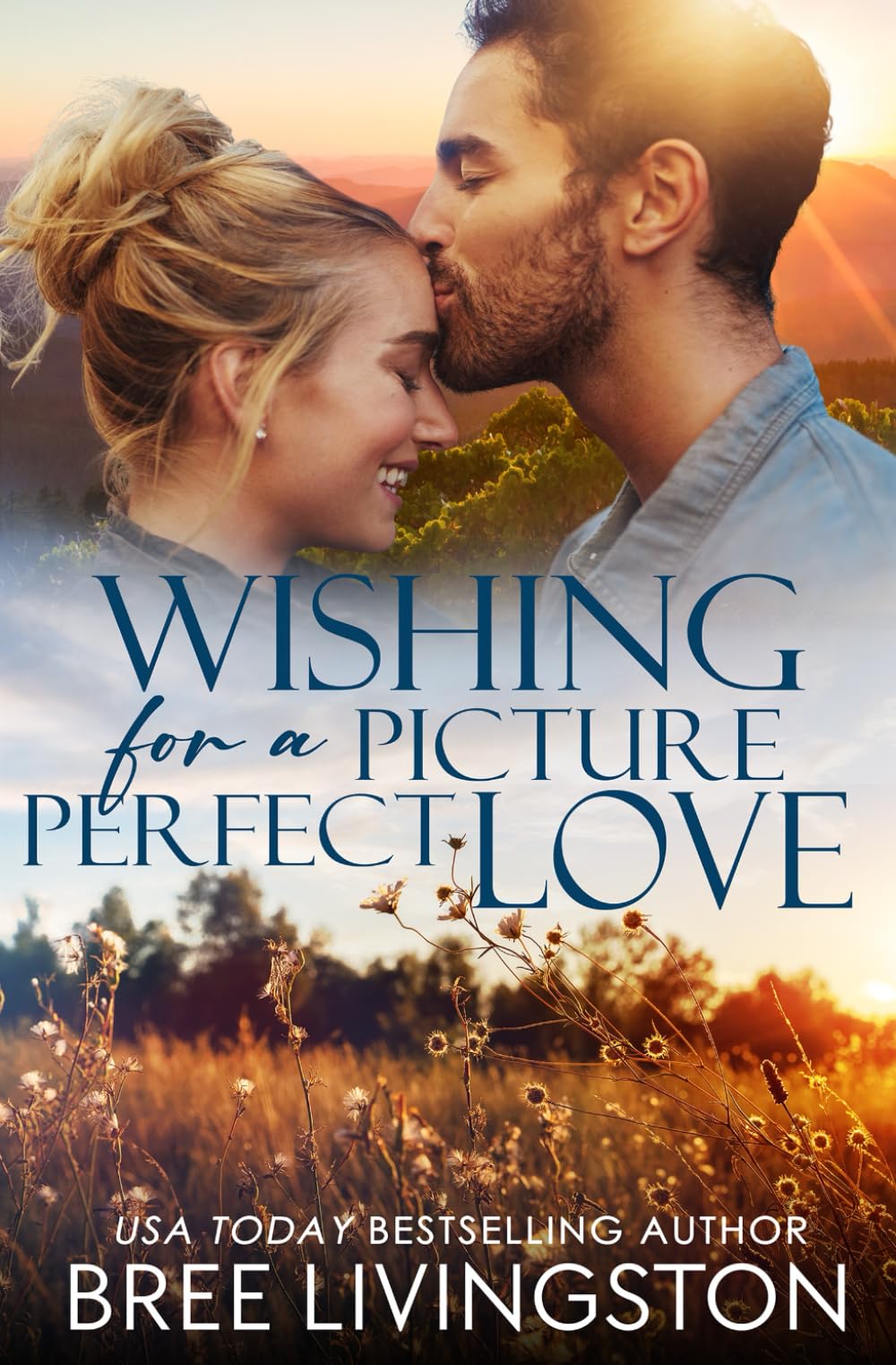 Wishing for a Picture Perfect Love: A Small Town Romance