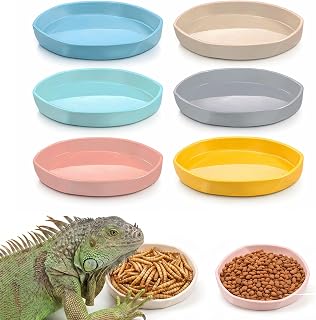 6 Pack Plastic Water Feeder Bowl Small Reptile Food Dish Bowl Reusable Worm Water Dish Plate Small Reptile Feeding Dishes for Lizard Gecko Bearded Dragon Chameleon Hermit Crabs 4" W x 4" D x 0.5" H