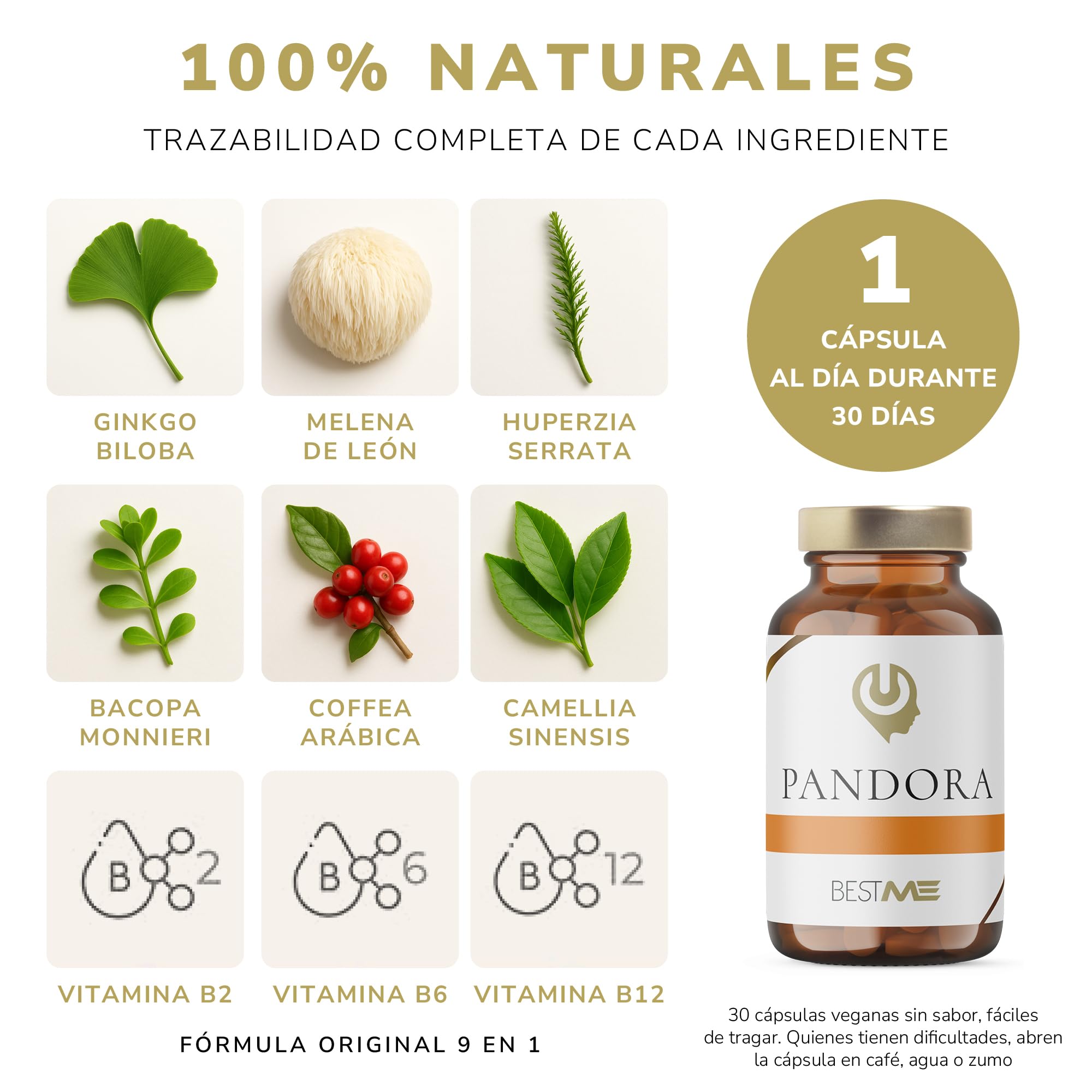 BESTME - Nootrópico Natural 9 en 1, Memoria, Concentración, Energía, Agilidad Mental | Ginkgo Biloba, Melena de León, Bacopa Monnieri, Cafeína, L-Teanina, Vitaminas B12/B6/B2-30 Cáps 800 mg (Pandora)