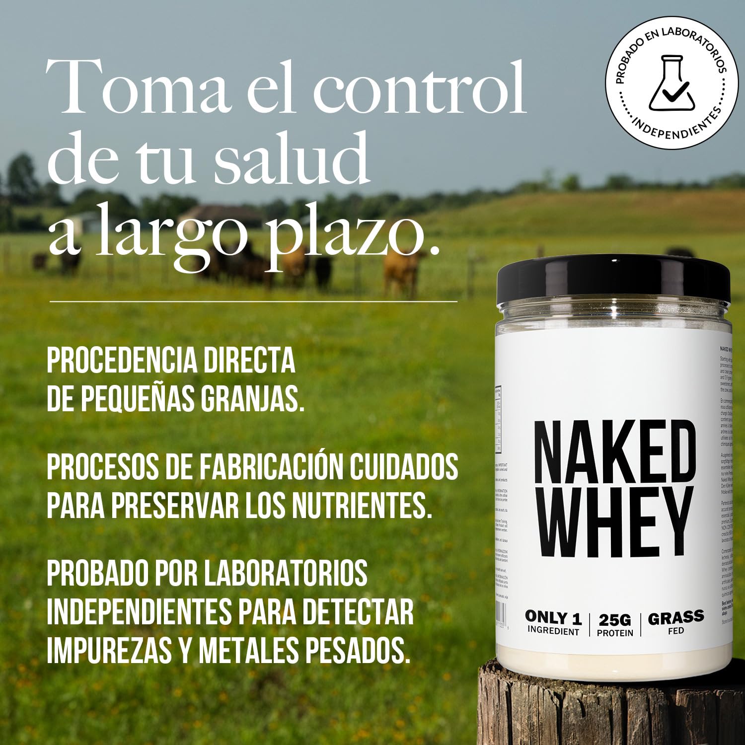 Naked Whey Protein, Proteina en Polvo, Un Solo Ingrediente, Grass Fed, Sin Gluten, Sin Soja, Sin OGM, 25g de Proteinas y 6g de BCAAs por Medida, Sin Sabor, 12 Porciones, 450g
