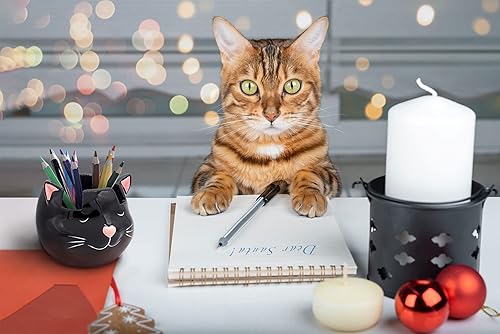 Miniatura 3 de Soporte y jarrón para lentes de gato, soporte de cerámica para gafas de sol y lentes de gato negro, organizador de decoración y exhibición de regalo