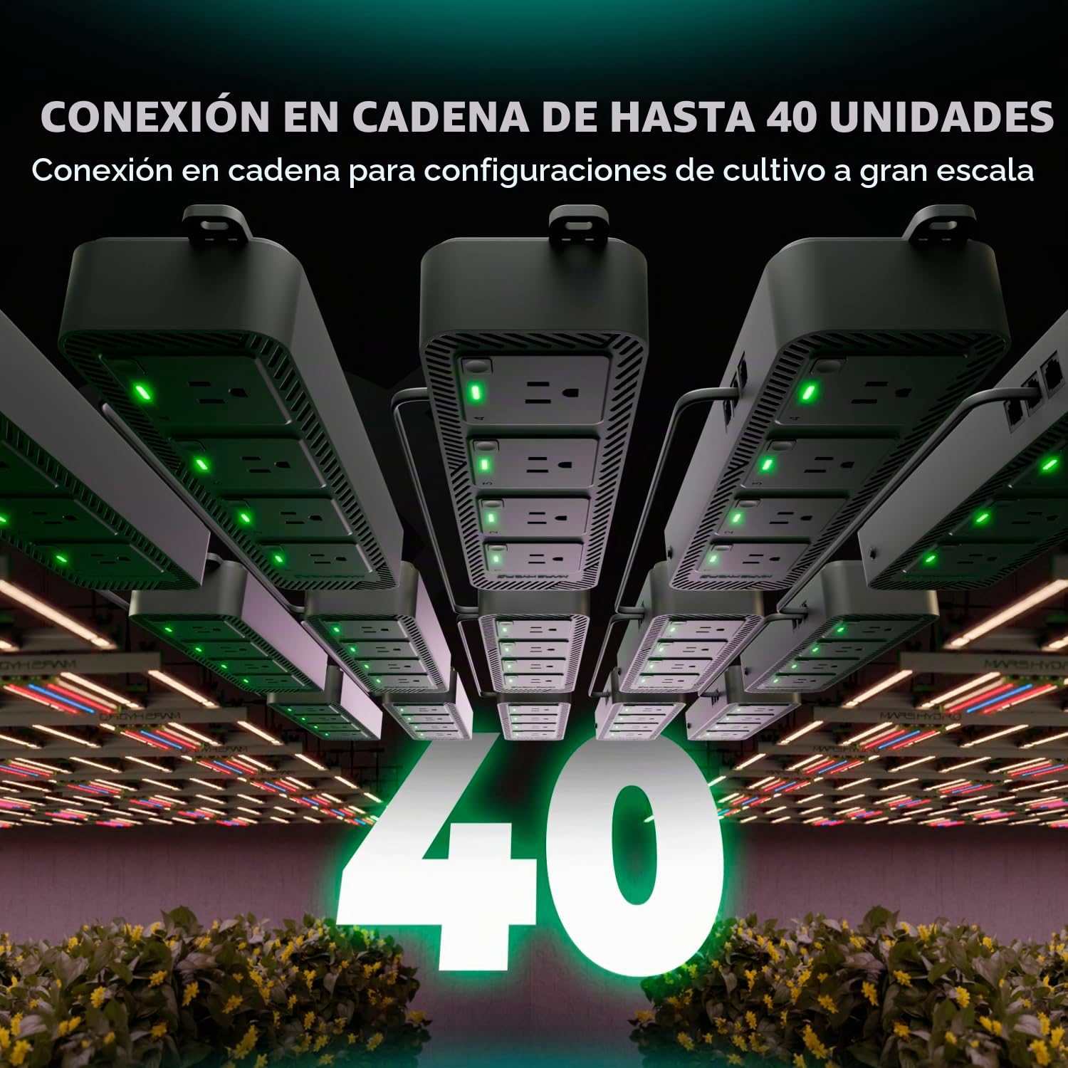 Mars Hydro Regleta inteligente con 4 tomas