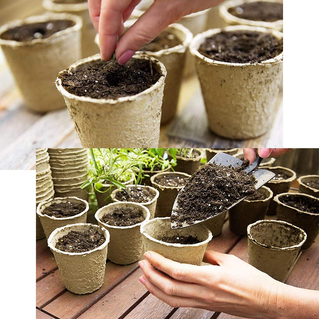 MLJTECH - Macetas biodegradables de Fibra para Plantar Semillas ...