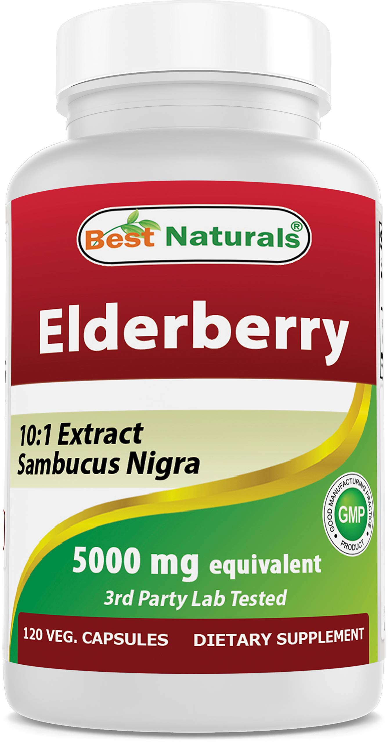Best Naturals Elderberry Sambucus Nigra Extract 10:1 500 mg 120 Veg Capsules