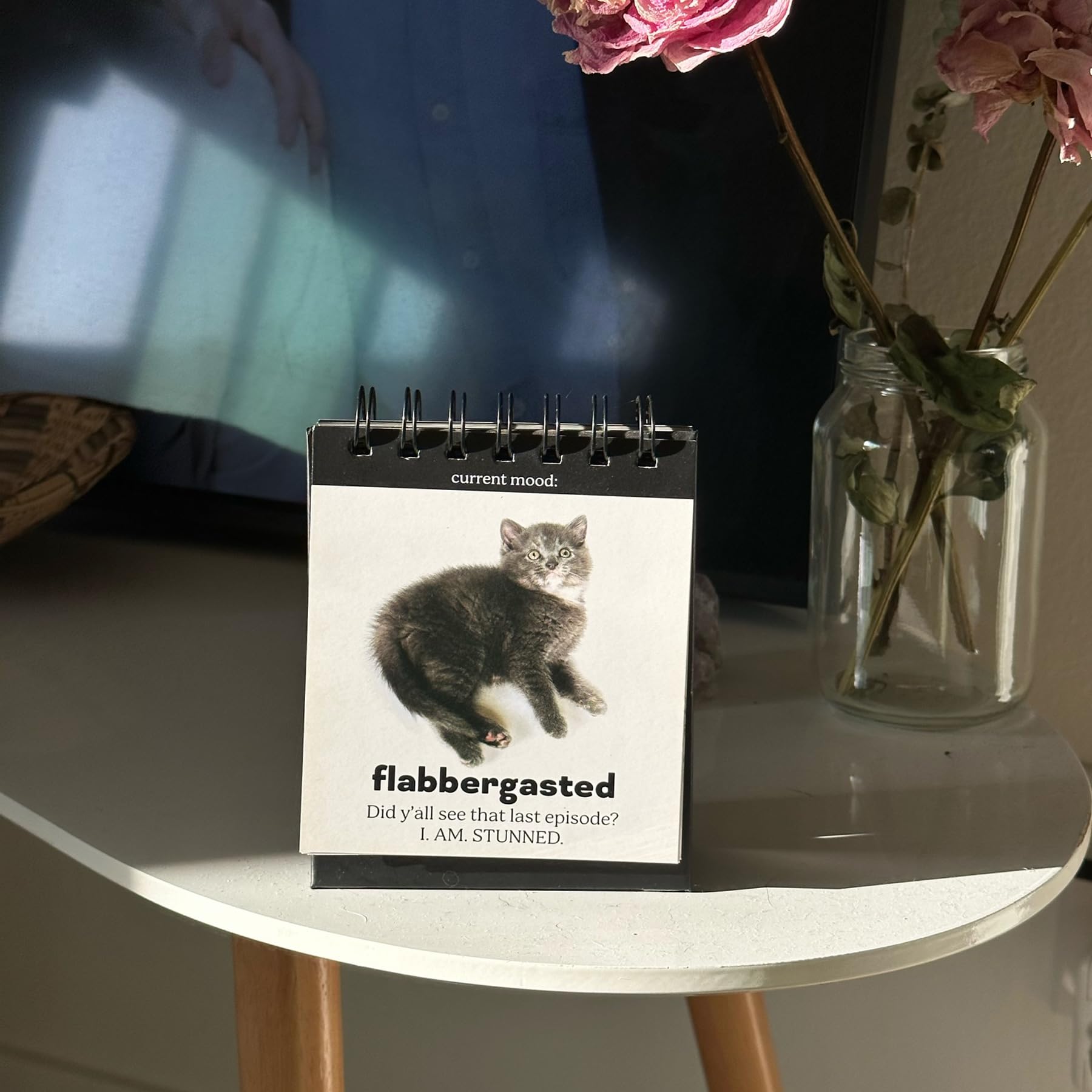 Genuine Fred Tableau de conférence Daily Cattitude Desktop