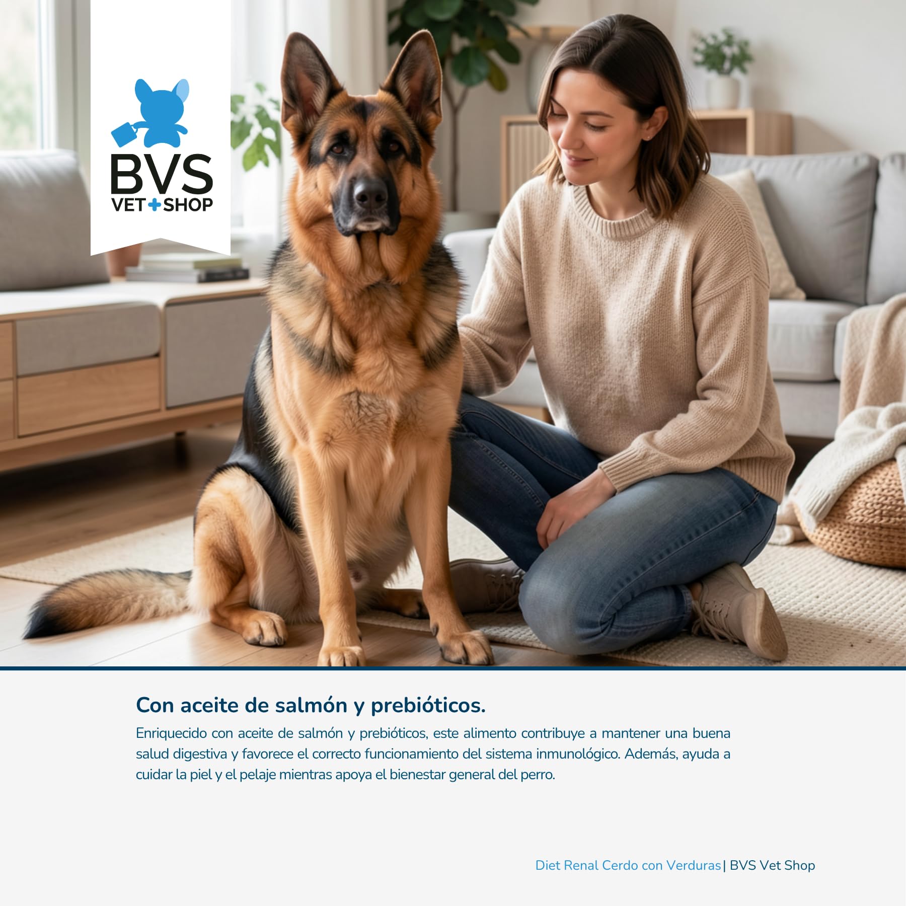 BVS Vet Shop | Diet Renal Cerdo con Verduras Lata para Perros | Adecuado para apoyar la función renal, con Aceite de salmón y prebióticos | 6 unid. x 400 gr