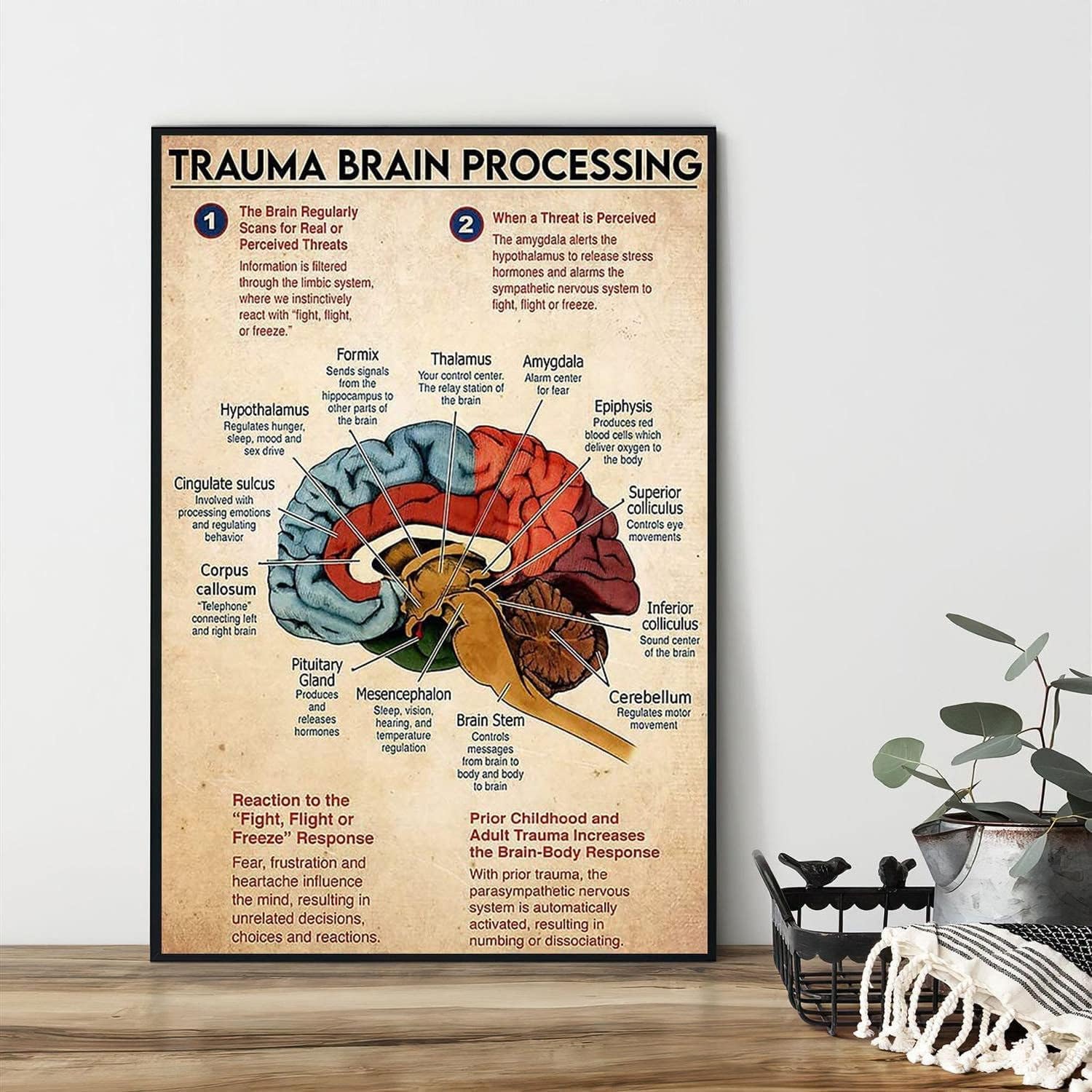 Viewkedt Tin 6725 Vintage Metal Tin Sign Trauma Brain Processing Poster, Mental Health Poster, Brain Anatomy, Brain Art,Anatomy Poster,Brain Wall Art,Therapist Psychologist Guidance Wall Poster Plaque 6X8 Inch