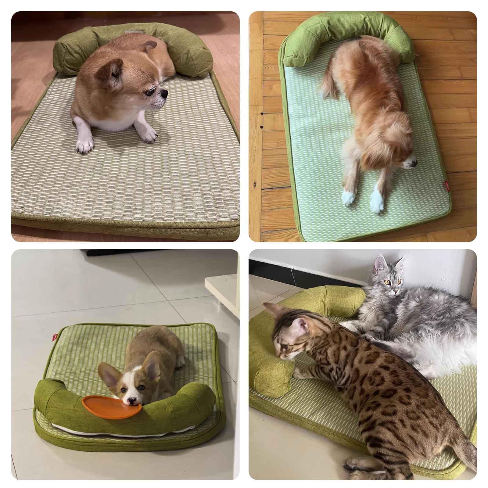 Tappetino refrigerante per cani, impermeabile, resistente ai graffi, per cani e gatti di taglia media, perfetto per l'estate calda