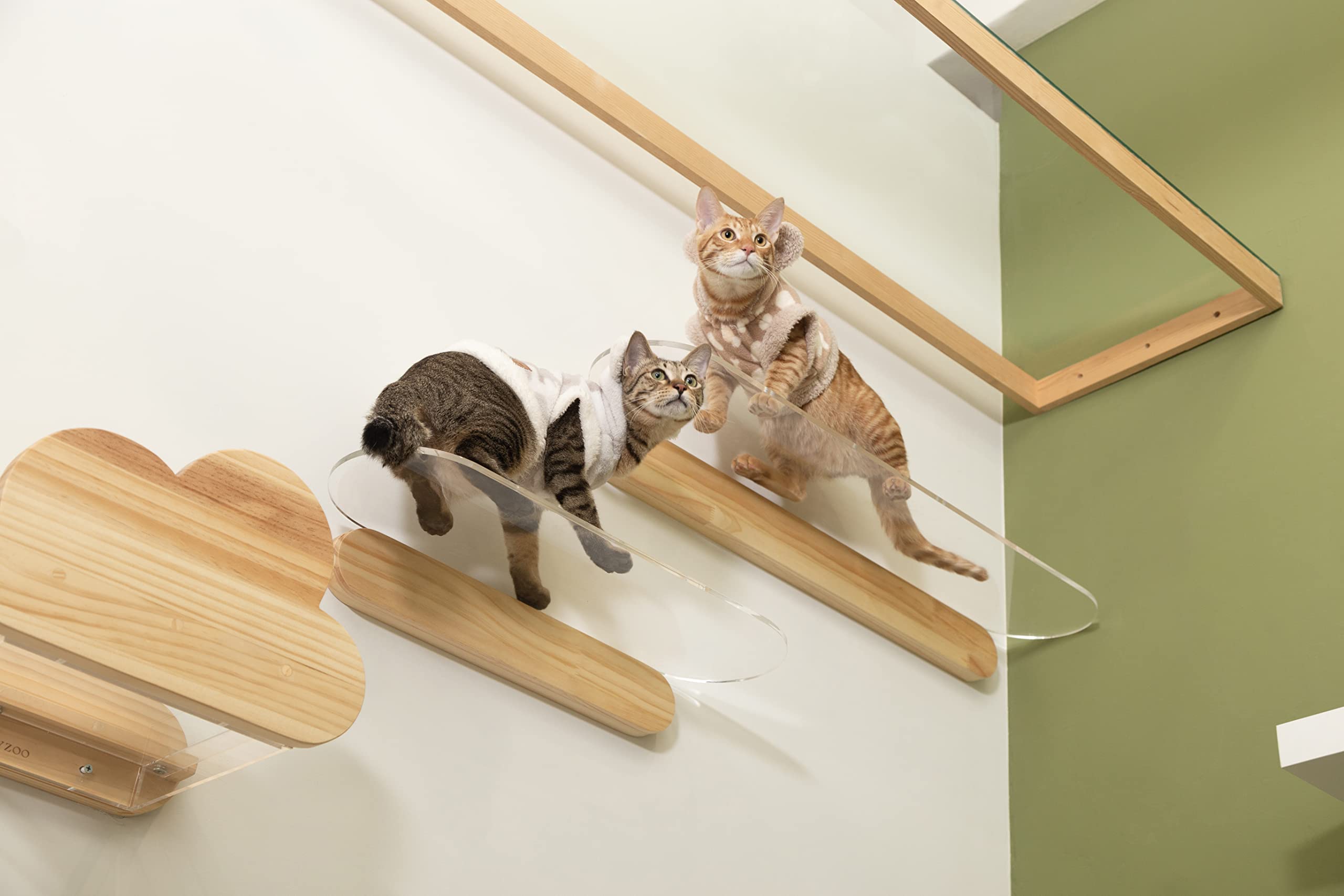 Amazon | MYZOO-OBLONG キャットステップ 壁付けタイプ [ネジが見え  