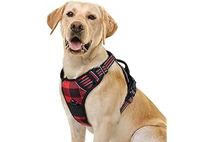 rabbitgoo Dog Harness for Large Dogs No Pull, Enhanced Control