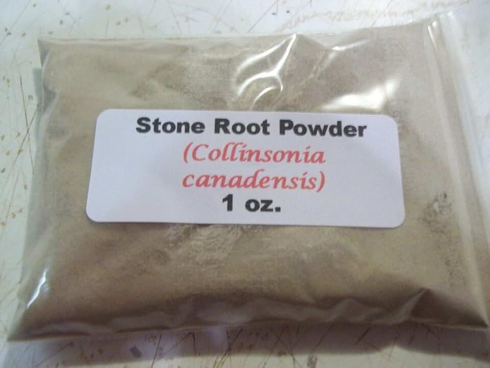 коллинсония канадская фото. каменный корень коллинсония канадская. каменный корень коллинсония канадская. каменный корень коллинсония канадская. каменный корень коллинсония канадская.