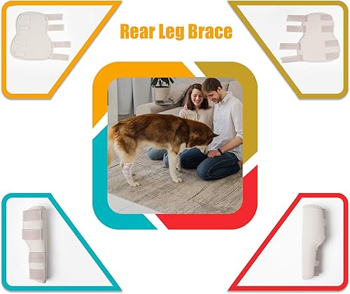 Miniatura 2 de Soporte trasero para pierna de perro, un par, cura la articulación de la articulación de la cadera para las piernas traseras (XLgris)