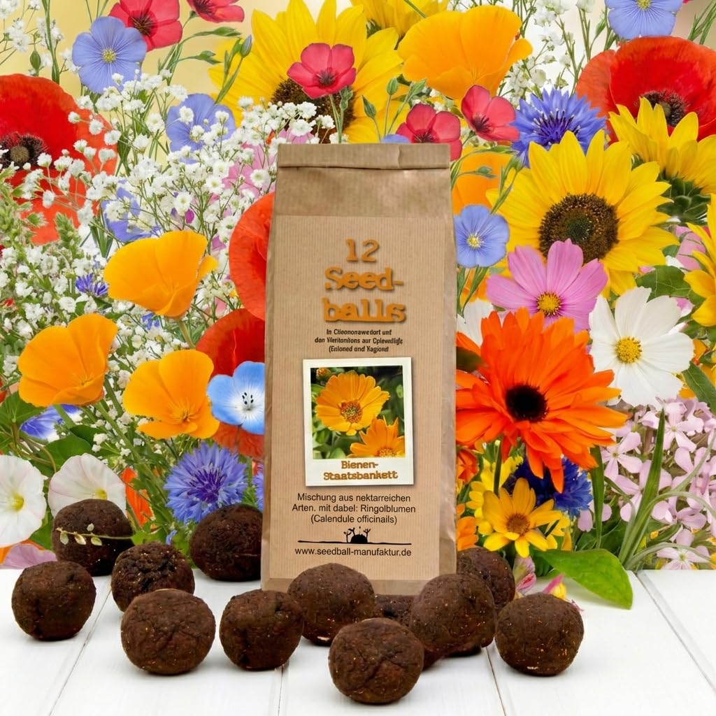 Seedball 12er Pack *MadeInGermany* unterstützt von regionaler Behindertenwerkstätte - nachhaltige Geschenke | Samenbomben, Blumensamen, Samenkugeln, Blumenkugeln (Seedball Bienenstaatsbankett12stk.)