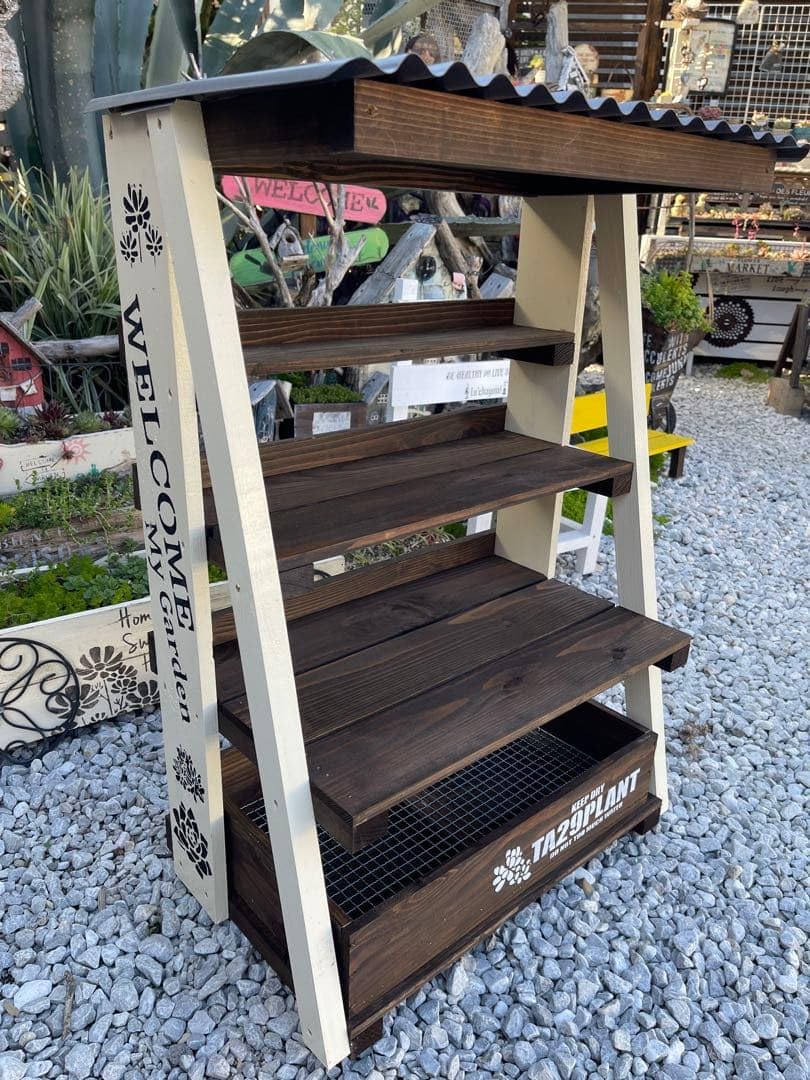 Amazon.co.jp: 多肉植物棚 GAI-T55（棚＋トレー） : DIY・工具・ガーデン