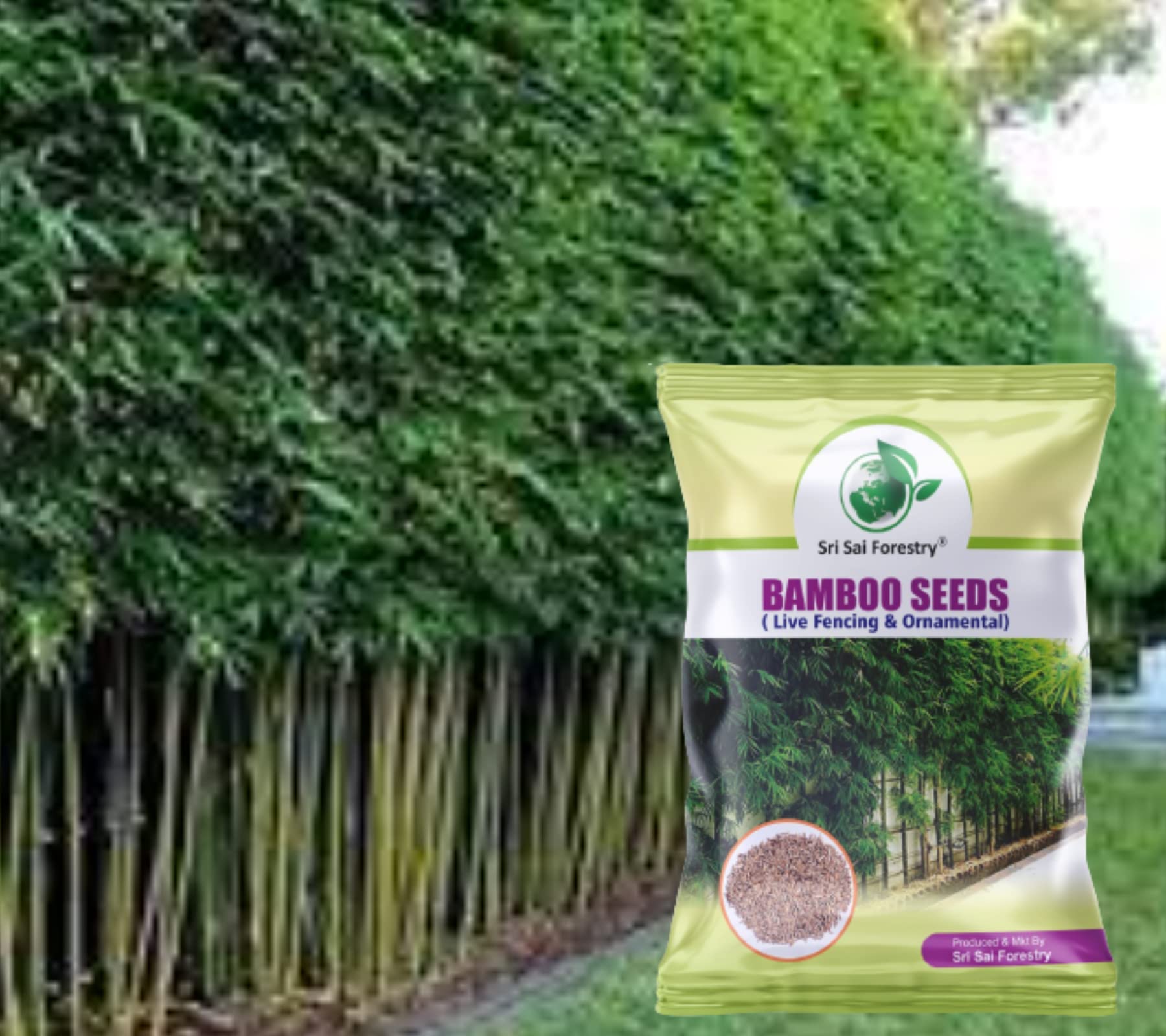 SRI SAI FORESTRY Bamboo Seeds for Fencing | Natural Shadow, Prevent Air Pollution - Pack of 100 (B0C546RNDQ) Amazon Price History, Amazon Price Tracker
