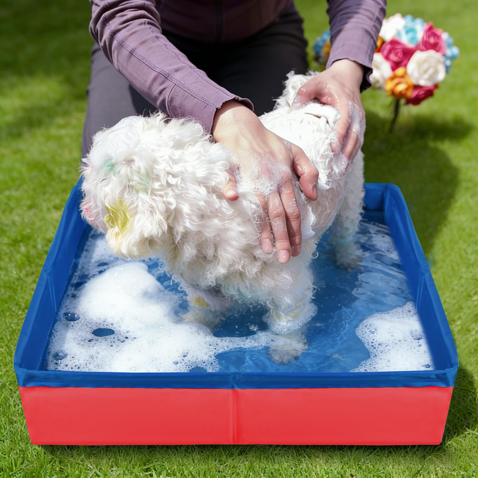 LQTSLFM Piscina Gatos, Piscina Perros y Gatos, Piscinas Plegable Gatos, Piscinas para Animal, Piscin para Gatos &Perros Pueden Jugar en el Agua, Bañarse y Descansar (50x10cm-RojoB) — view 6