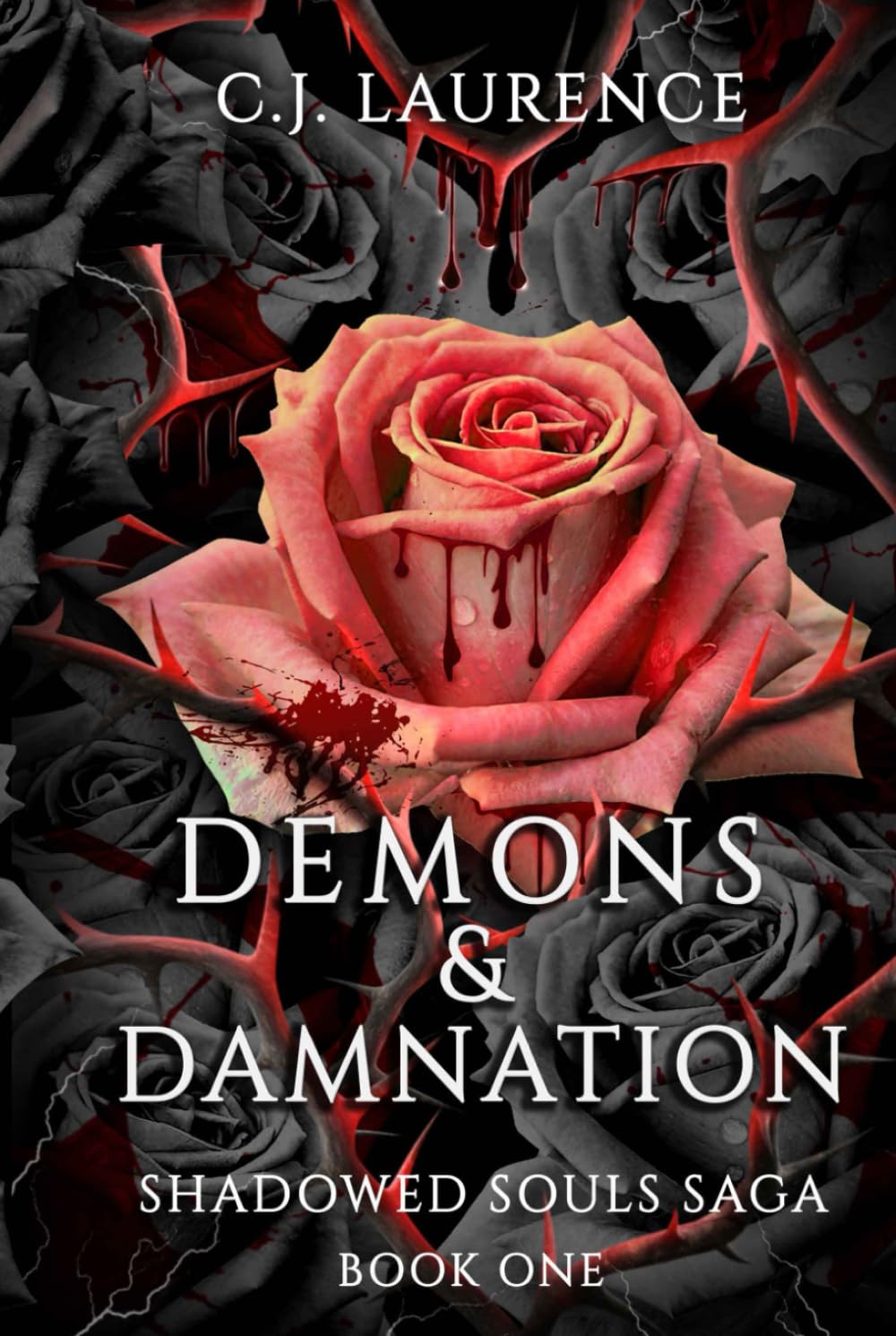 Demons & Damnation: A steamy dark paranormal romance novel (Shadowed Souls Saga)