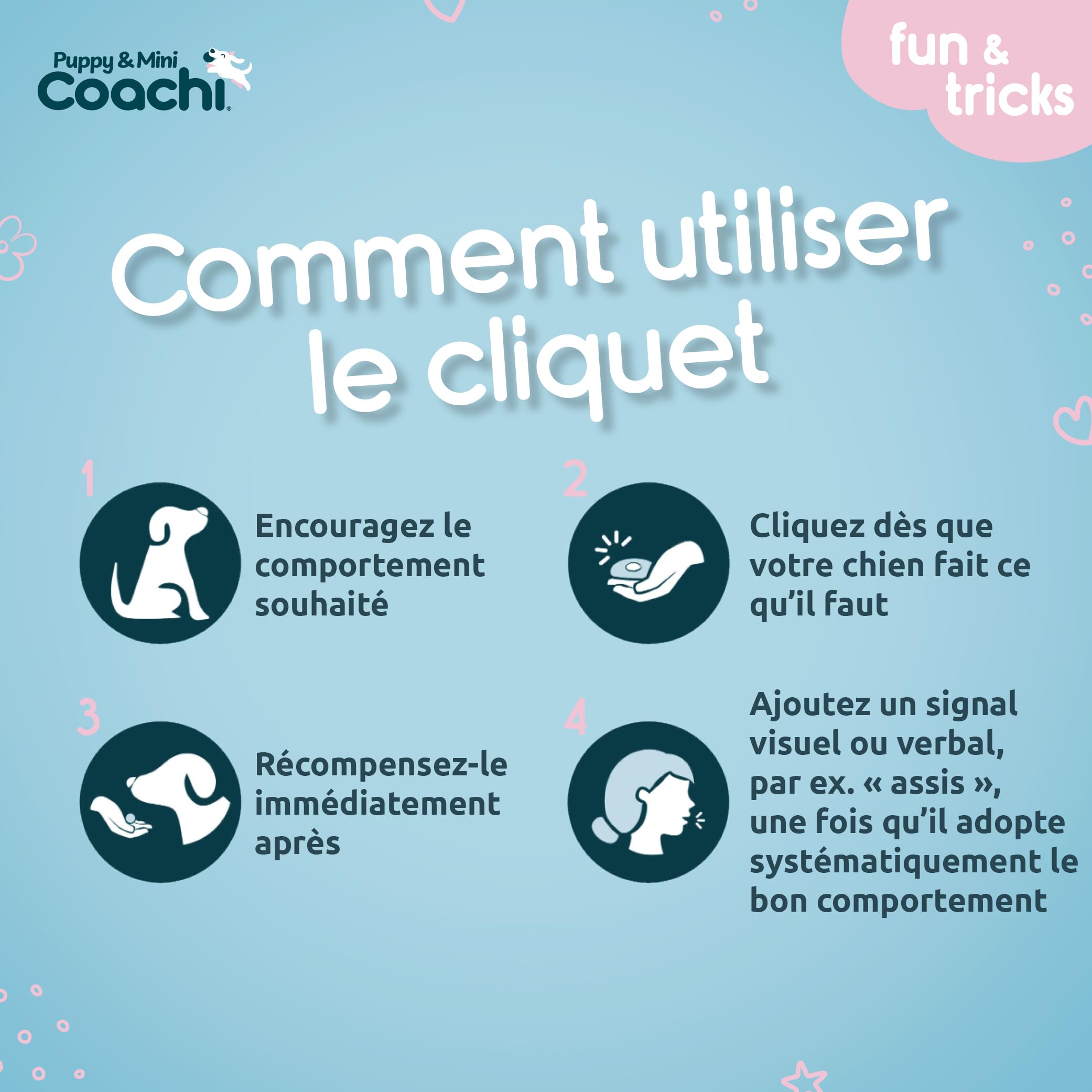 Coachi Whizzclick Sifflet et clicker combinés 2-en-1, sifflet d'éducation pour Chien pour Le Rappel, et clicker pour la récompense, Cordon réglable et réfléchissant, adapté aux Chiens et aux Chiots