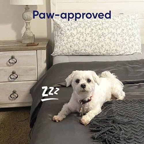 Miniatura 5 de Vesta Edredón refrescante de seda, manta ligera lavable para durmientes acalorados, seda de morera, control de humedad y calor para uso en todas las