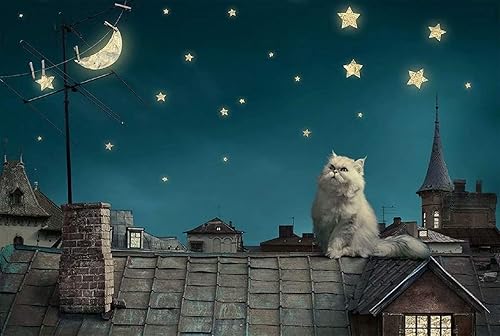 Queenie Encantador gato persa cielo estrellado estrellas luna silenciosa escena noche pintura niños juguetes educativos aprendizaje madera