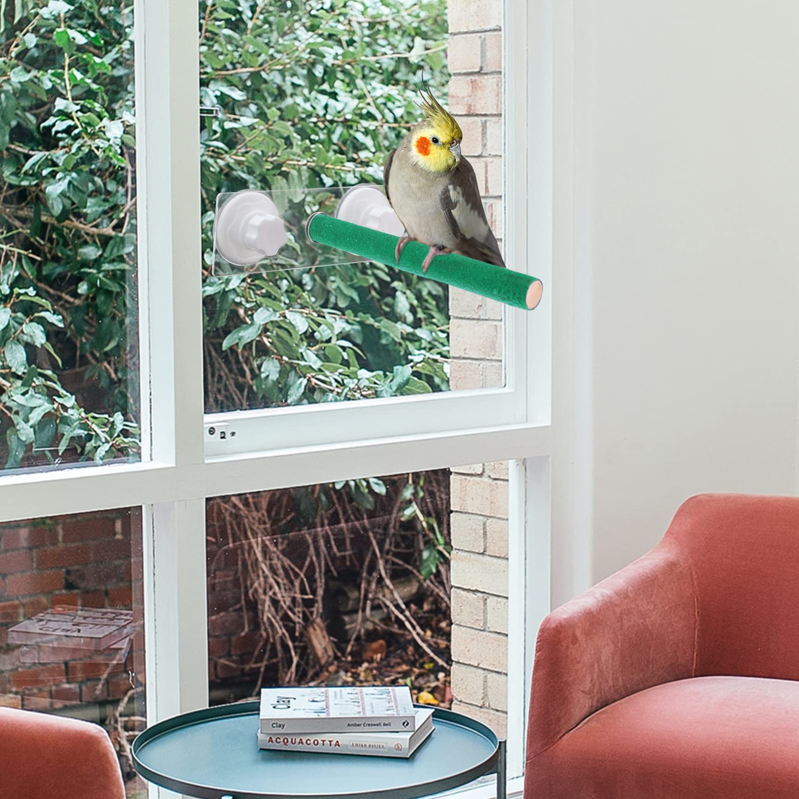 Bird Shower Perch Stand Parrot Frosted Surface Bath Perch with Suction Cup for Home Outdoor Window Glass Birdcage Parakeet Cockatiel - image 5