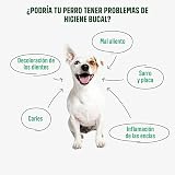 Ver la foto 3