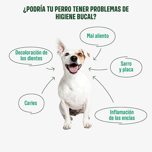 Foto 3 de 8 de ivvi Dental - Snacks para la higiene Dental de los Perros. Menta, perejil, hinojo, manzanilla, Aceite…