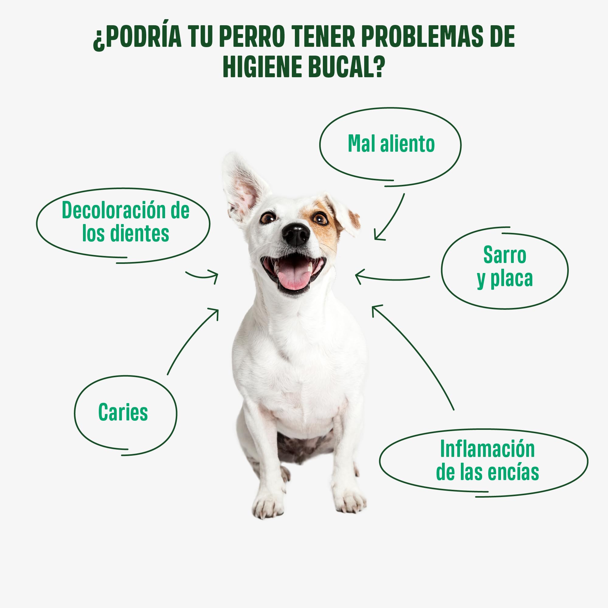 ivvi Dental - Snacks para la higiene Dental de los Perros. Menta, perejil, hinojo, manzanilla, Aceite de Coco, Algas pardas. 60 Snacks con Pollo. Favorece Dientes sanos, Aliento Fresco y Fresh Breath