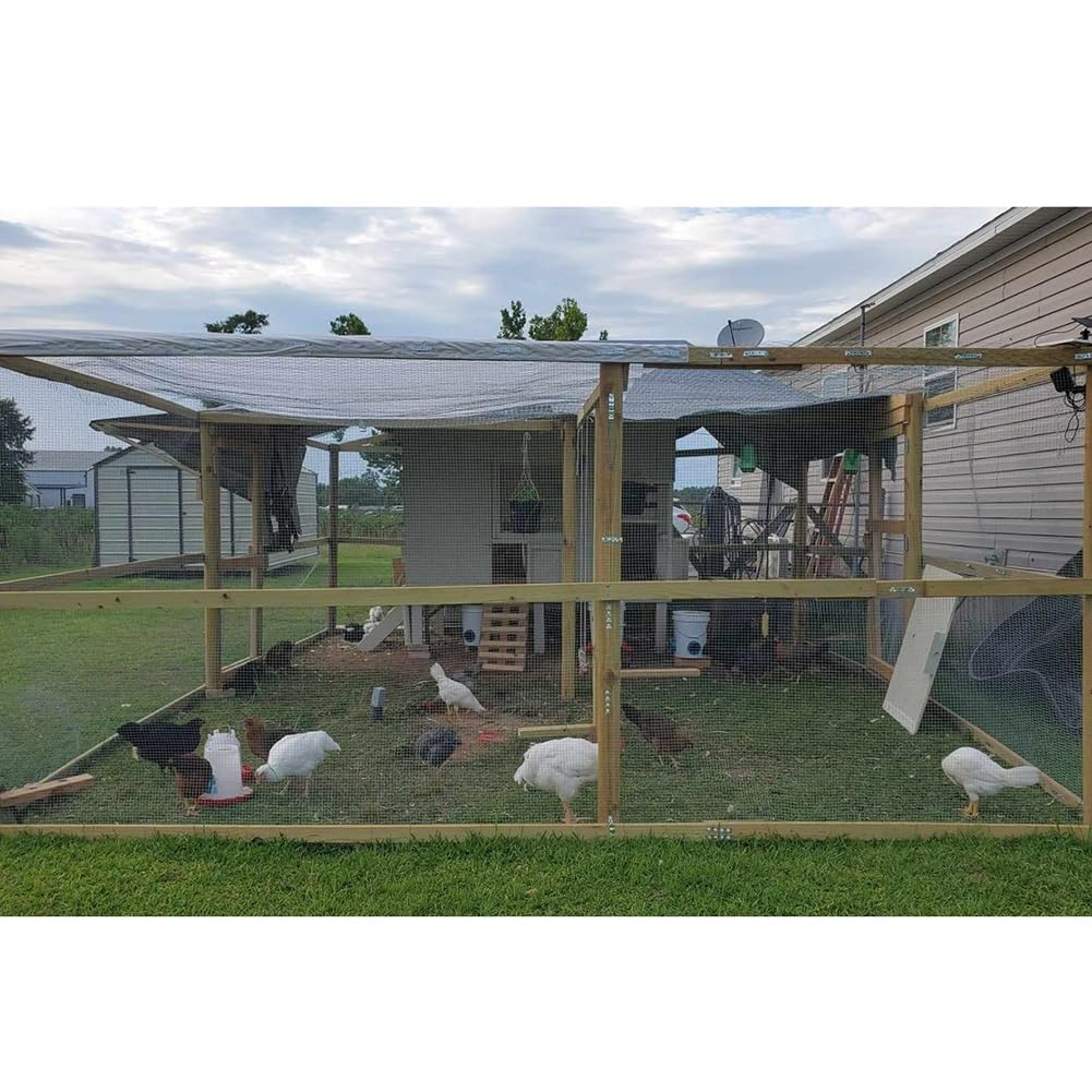 Grillage Métallique Acier Inoxydable Soudure, Clôture en Grillage Rouleaux De Grillage pour Volaille pour Enclos d'animaux, Parc À Poules, Mailles De 6 mm, 9 mm Et 12 mm(1|12x12mm,1x1m)