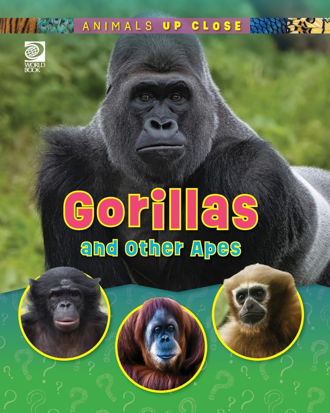 Gorillas and Other Apes