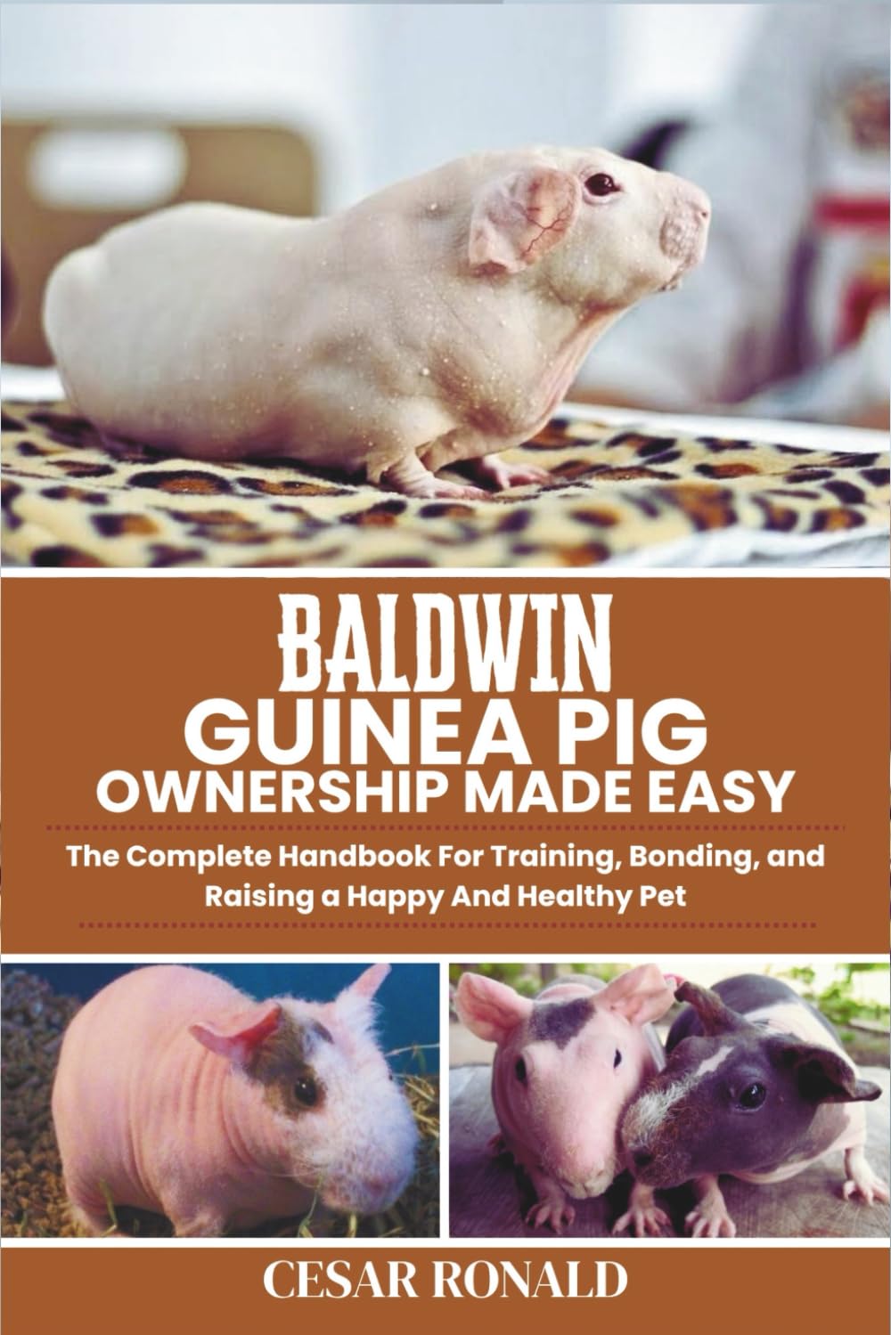 Baldwin Guinea Pig Ownership Made Easy: The Complete Handbook For Training, Bonding, and Raising a Happy And Healthy Pet (Guinea Pig Encyclopedia