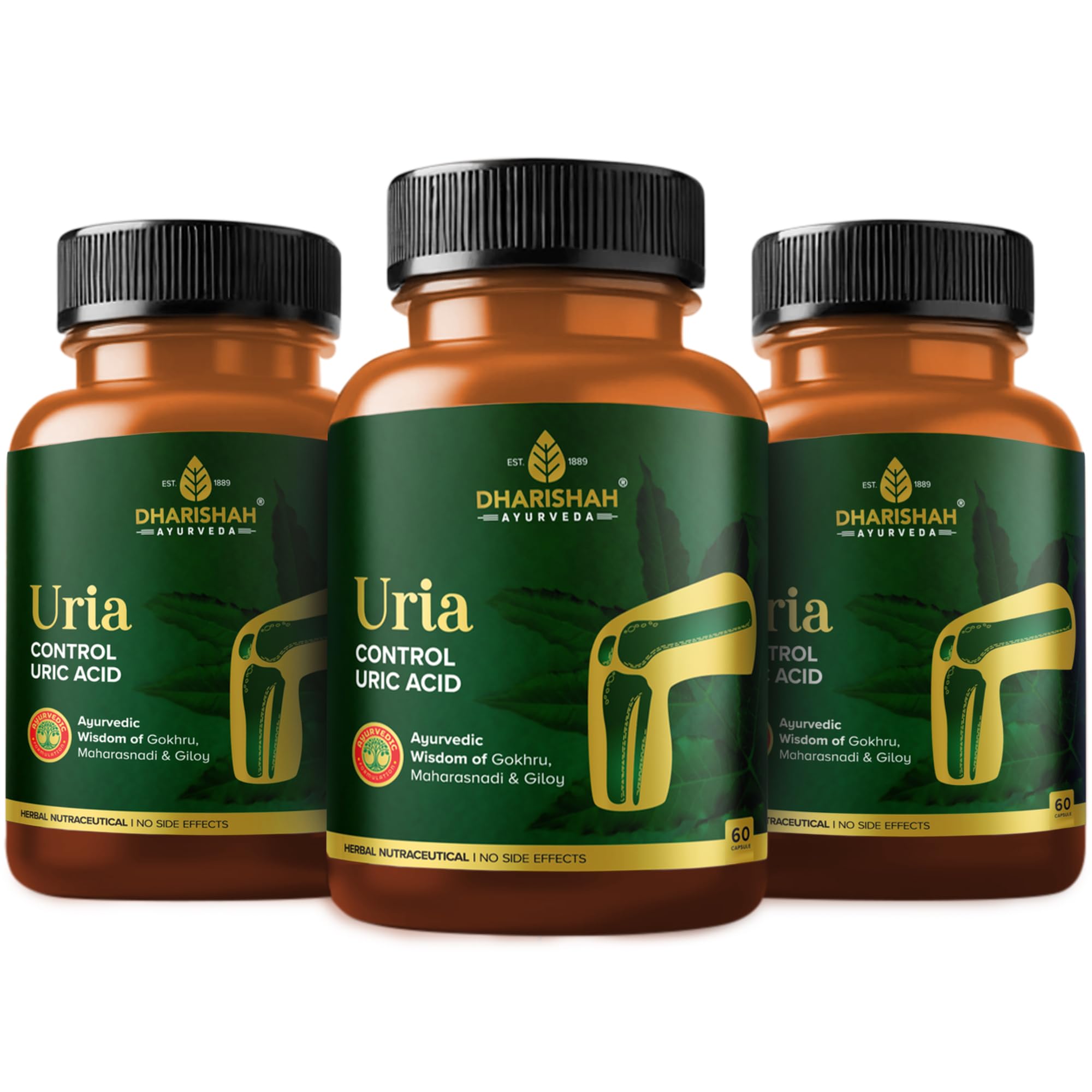 Uria Capsules | Herbal Nutraceutical | Controls Uric Acid | 60x3 Capsule
