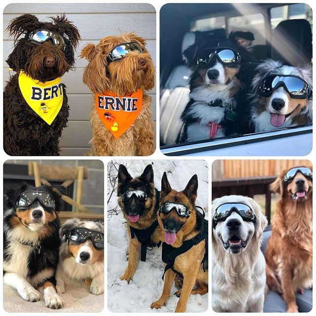 Foto 2 de 6 de NAMSAN Gafas para Perros Protección de Ojos Exterior Correa Ajustable Fácil de Poner Gafas de Sol…