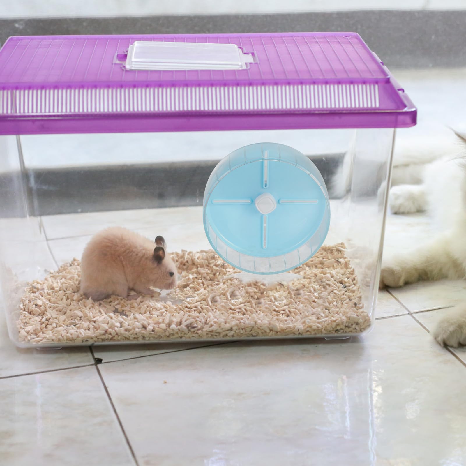 Großes Hamsterrad aus Kunststoff Geräuscharm und Stabil Freistehend oder Am Käfig Befestigbar für Kleine Haustiere und Rennmäuse im Kleintierauslauf