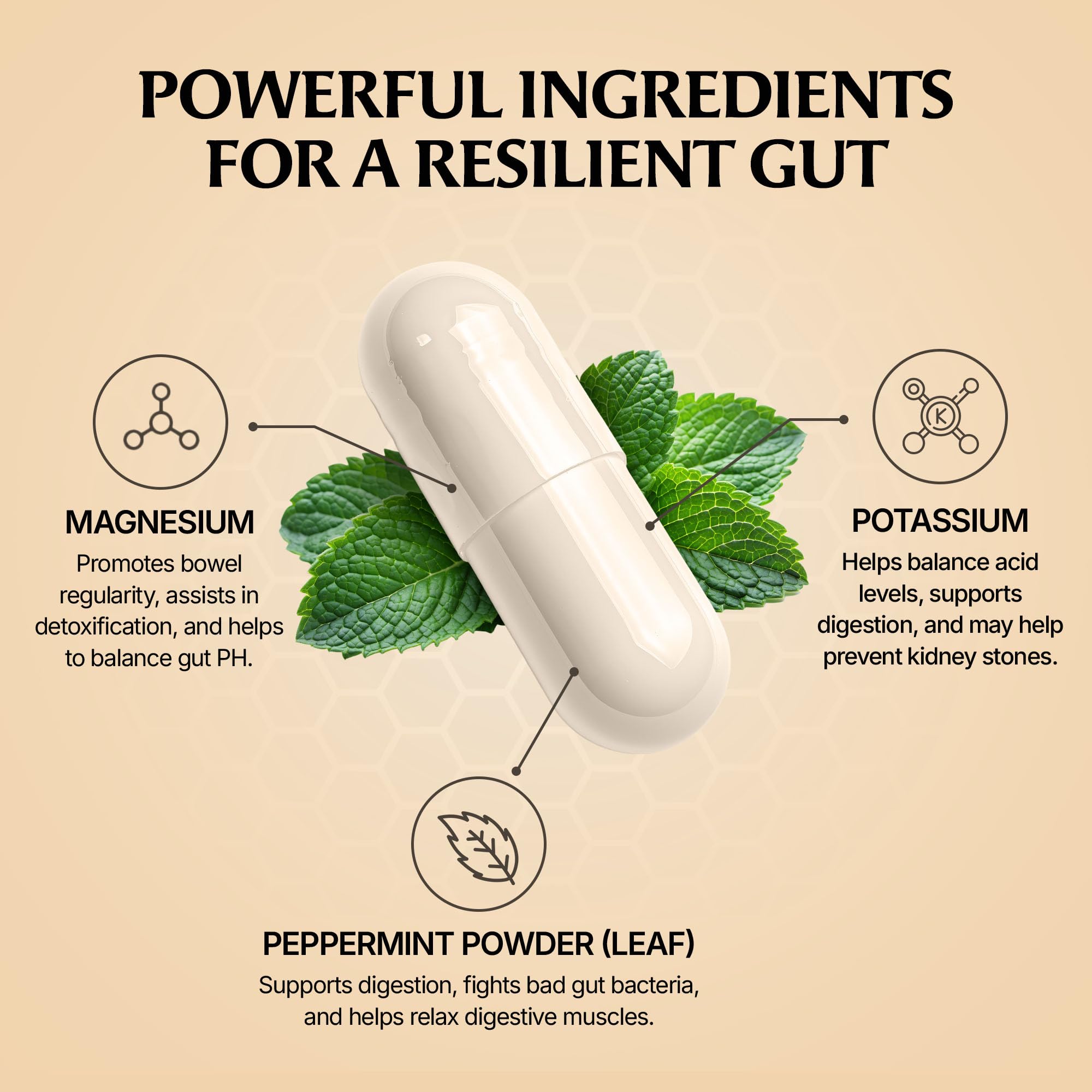 Paulina FITNESS Reset PM Gut Cleanse for Women Overnight 8-Hr Digestive Aid — Amazon image 5