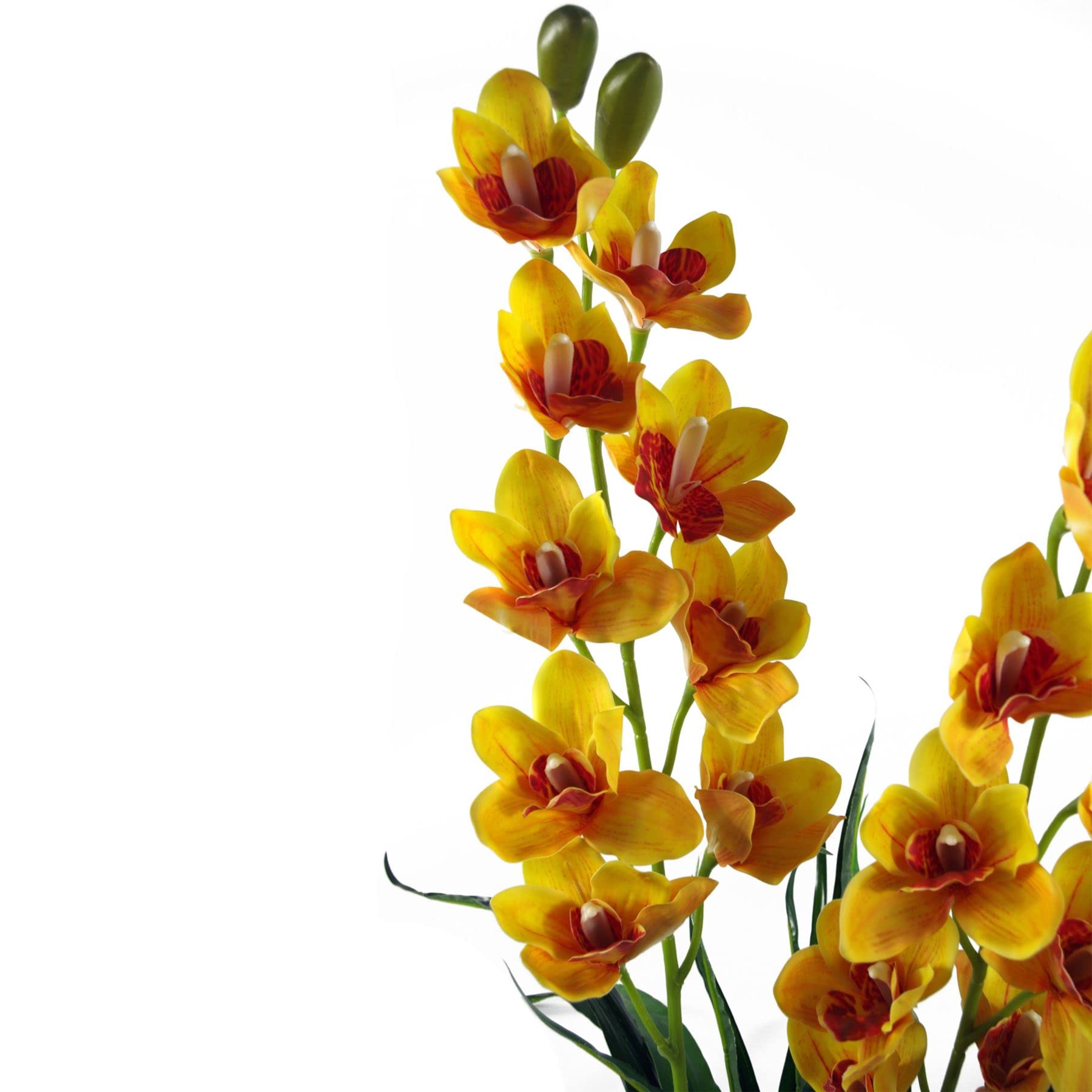 Leaf Orchidée cymbidium Artificielle 90 cm - Pot en Plastique Noir Extra Large