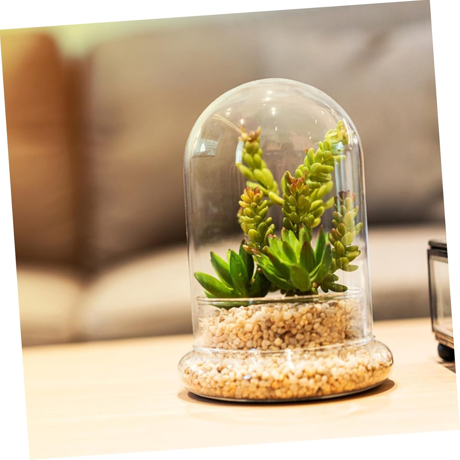 2pcs Micro Landscape Moss Bottle High Borosilicate Glass Terrarium for DIY Miniature Decor for Housewarming Mother Day and Create Fairy World Your Home