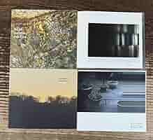 Amazon.co.jp: アンビエント名盤 CD4枚セット】fennesz +